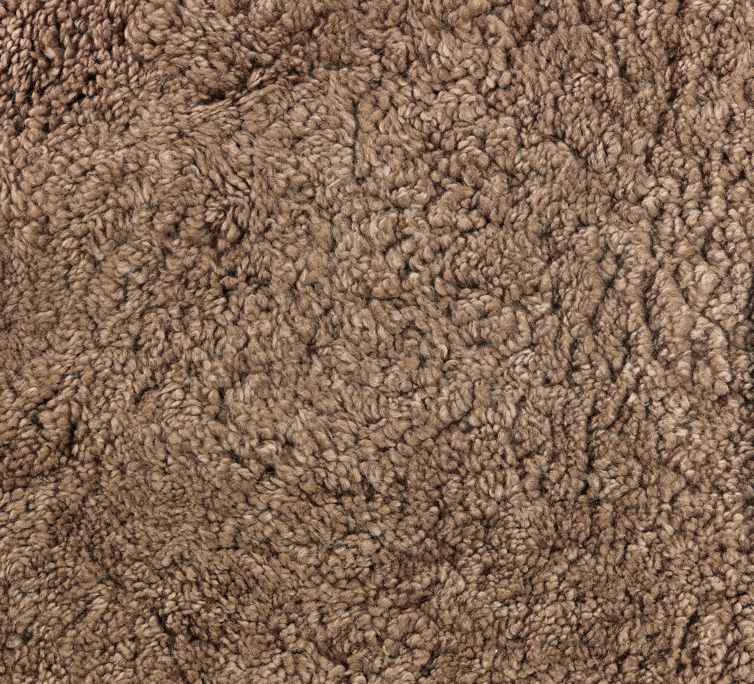Sheepskin_sahara
